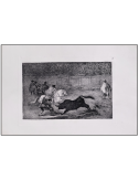 FRANCISCO DE GOYA -...
