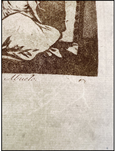 FRANCISCO DE GOYA - LOS...
