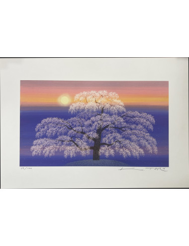 KOJI TERUNUMA - FULL BLOOM...