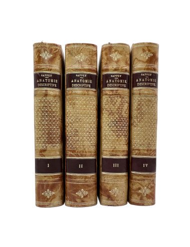 PH. C. SAPPEY - TRAITÉ...