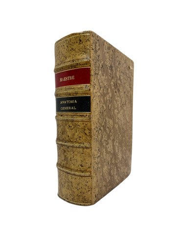 A. MAESTRE DE SAN JUAN -...