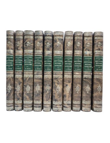 JEAN HENRI FABRE -...