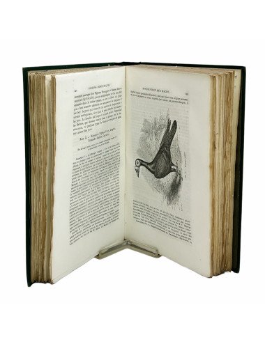 DARWIN - DE LA VARIATION...