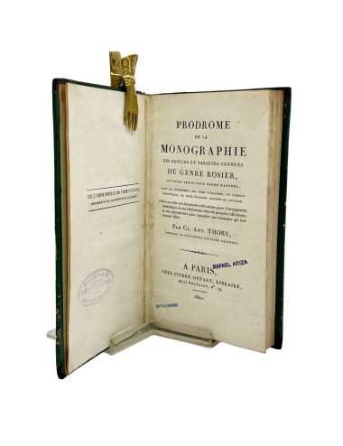 CL. A THORY - ESPÈCES ET...