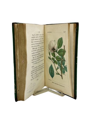 CL. A THORY - ESPÈCES ET...