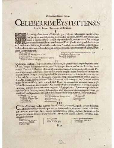 BASILIUS BESLER - JACEA...