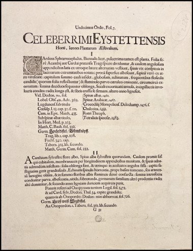 BASILIUS BESLER - CARDUUS...