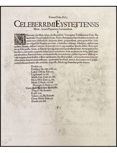 BASILIUS BESLER - BALSAMINA...