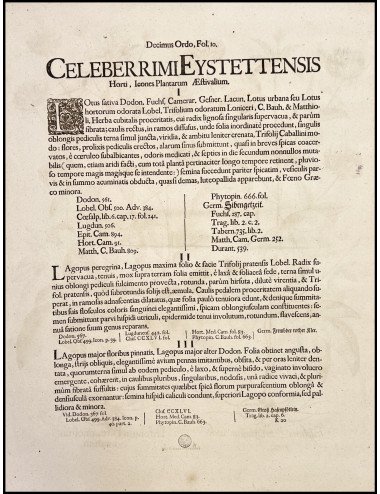 BASILIUS BESLER - TRIFOLIUM...