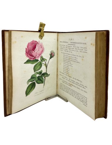 WILLIAM WOODVILLE - MEDICAL...