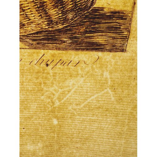 FRANCISCO DE GOYA - LOS...