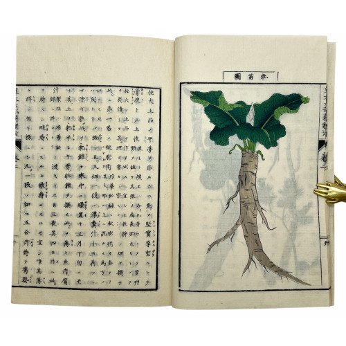 SATŌ NOBUHIRO - MÉTODOS DE...