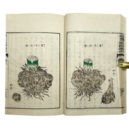 SATŌ NOBUHIRO - MÉTODOS DE...