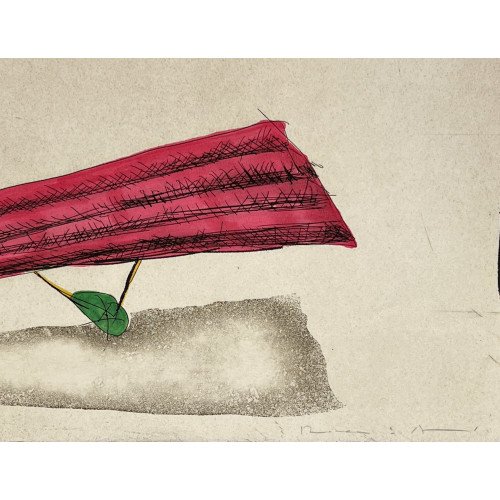 JOSEP RIERA Y ARAGÓ -...